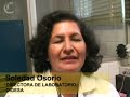 los juguetes tóxicos