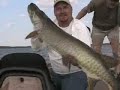 Musky Nuts Musky Nuts