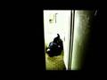 COMA - r.kan Albay film