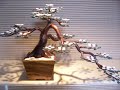 Bonsai Tree Sculpture #24 by Jim Shull