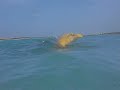 Offshore Powerboat world championship abu dhabi uae