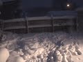 Bullies in the snow