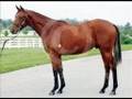 Thoroughbred Champions-Then and Now