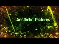 Aesthetic Pictures Logo - Grunge