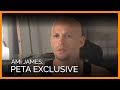 Ami James Interview