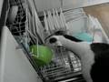 Pharo doing the dishes