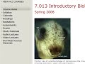 MIT Open Courseware as Supplemental Material