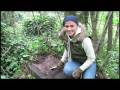 videos de Common Ground:  Polish Volunteers Caring for Jewish Cemeteries