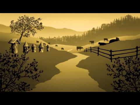 About the Wild Bison