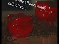 KUD ZAHIR SENCO VORTO KUD ZAHIR SENCO VORTO