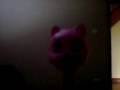 videos de Spideycat - Spiderest cat in the world