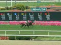 chistes-polo-polo.html