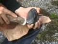 Mikkel knapping flint blades 1