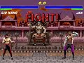 mk.mp4