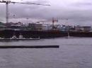 Reykjavik Whale Watching