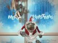 Xmasflies Xmasflies