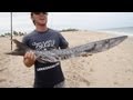 Real SharkNado Fishing - YouTube