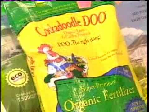 how to fertilize lettuce organically