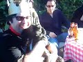 Teleamigos