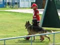 Aghro-Soiuz 2008, Ermak iz Legendarnogo Forvarda C|