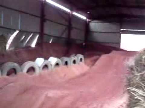 MOV01507