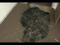 Hurricane Ike vs. Mines Household