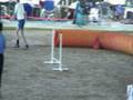 videos de Tia Exc JWW Palmetto Sun Nov 9 2008