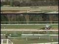 Symboli Kris S-Arimakinen