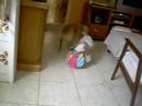 mag lilica e pituca