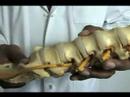Chiropractic Care Services & Treatments : What is the McKenzie Technique in Chiropractic Care? Chiropractic Care Services & Treatments : What is the McKenzie Technique in Chiropractic Care?