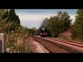 45231