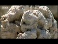 Strange white islands on Mars - Life on Mars - BBC Horizon science Strange white islands on Mars - Life on Mars - BBC Horizon science