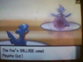 Pokemon D/P Wifi battle: Shadow vs. Fenny