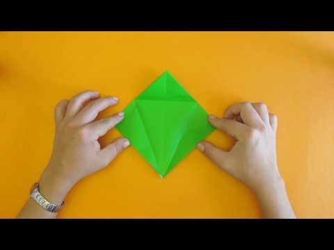 Imatge de previsualització de YouTube