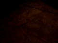 Carmera, Picture or Video 021