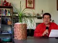 UMIDIFICADOR PARA VASOS DE PLANTAS 2