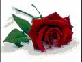 Ashxari amena lav  *LIVE*  yerqe