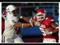 Darren McFadden-Arkansas Razorbacks