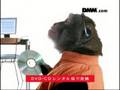 DMM.com