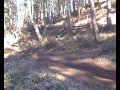 Chicksands UK MTB Chicksands UK MTB