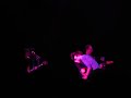 Jarvis Cocker 'Paranoid' (Black Sabbath cover) - Wellington 3 December 2009