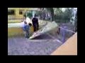Adolescenturas - destrucci�n del m�ndigo biombo