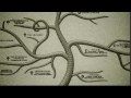 Religion Family Tree