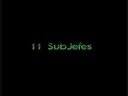 ARAWAKS 2008 (Subjefes Nasak)