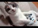 videojuegos