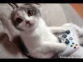 Embarazada por la Xbox