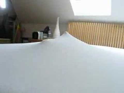 Watch 'Bed Sheet Cat'