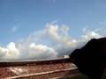 videos de flamengo5x2palmeiras