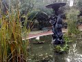 Fuente  Jardin Botanico