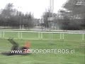 ENTRENAMIENTO DE ARQUEROS, GOALKEEPER TRAINING, WWW.TODOPORTEROS.Cl 10
